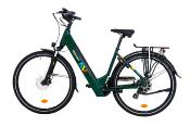 CARLINA HY XR Vert Anglais