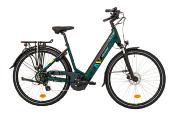 CARLINA HY XR Vert Anglais